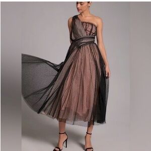 NWT. Anthropologie Tulle Polkadot Dress. NEW